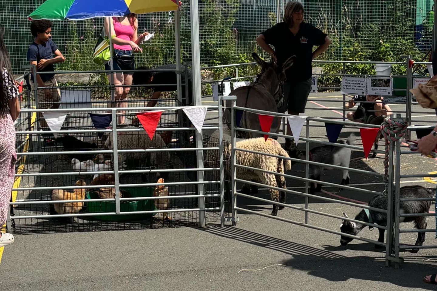 Families visiting an activity at a local fun day